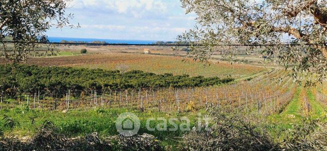 Terreno agricolo in commerciale in SP79