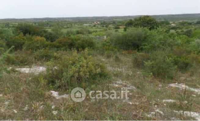 Terreno agricolo in commerciale in 