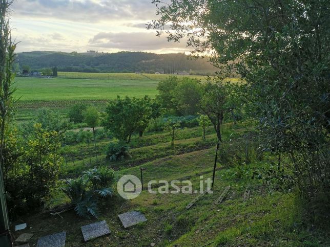 Terreno agricolo in commerciale in Strada Comunale di Pian di Campi