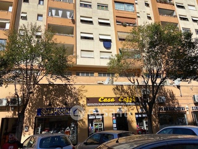 Ufficio in commerciale in Viale Lina Cavalieri 103