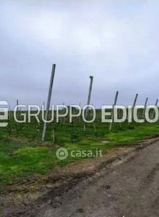 Terreno agricolo in commerciale in Via Alberelli