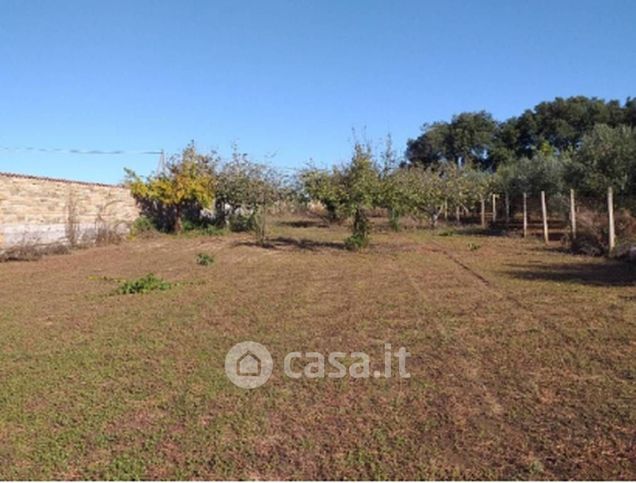 Terreno agricolo in commerciale in Via Torre del Monumento