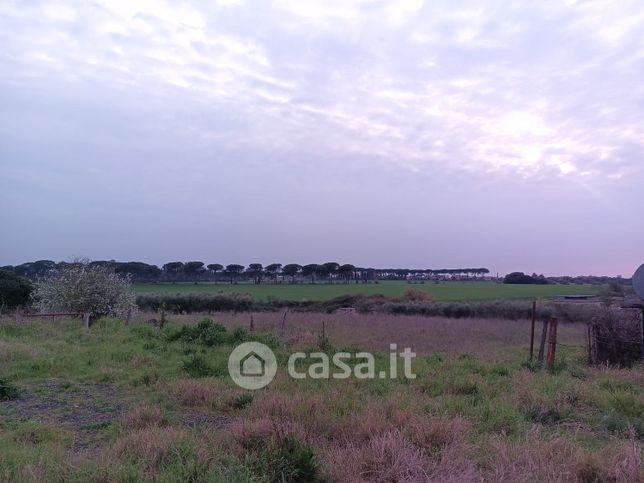 Terreno agricolo in commerciale in Via Pietraperzia