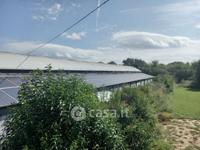 Terreno agricolo in commerciale in Via Palustrella