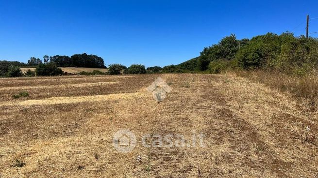 Terreno agricolo in commerciale in Via della Madonnella 11