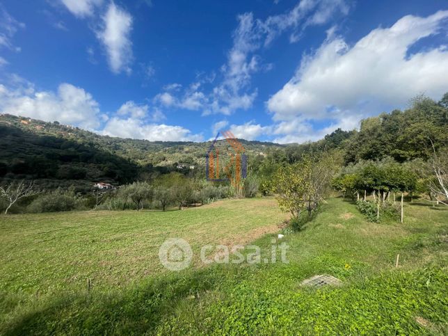 Terreno agricolo in commerciale in Contrada Muretto