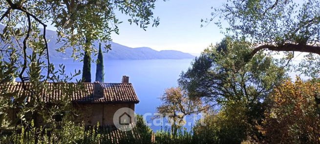 Terreno agricolo in commerciale in Muslone