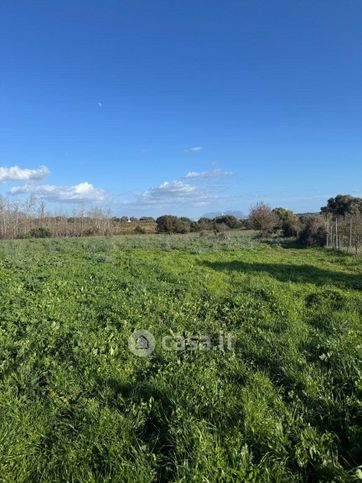 Terreno agricolo in commerciale in Via della Cantoniera Putzolu 92