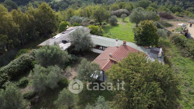 Terreno agricolo in commerciale in Strada Provinciale 3a