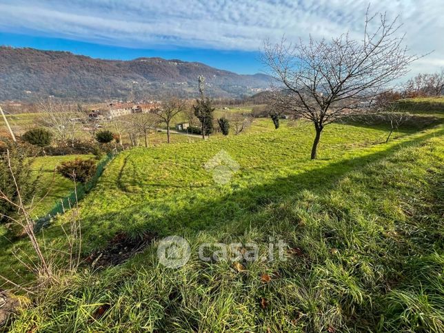 Terreno agricolo in commerciale in Via Casuerchio 1