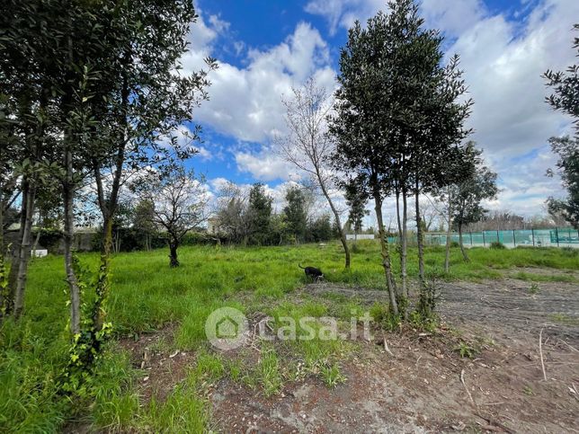 Terreno agricolo in commerciale in Via Campitelli