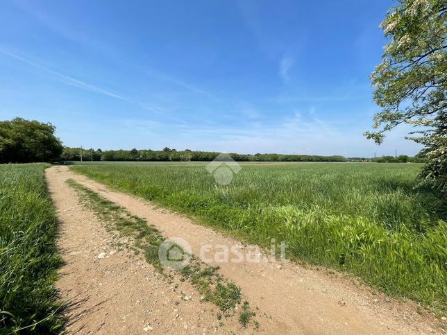 Terreno agricolo in commerciale in 