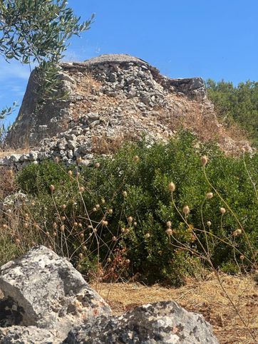 Terreno agricolo in commerciale in Contrada Campanile