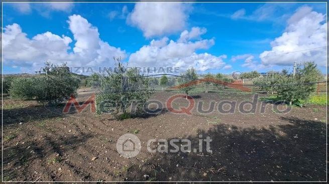 Terreno agricolo in commerciale in 