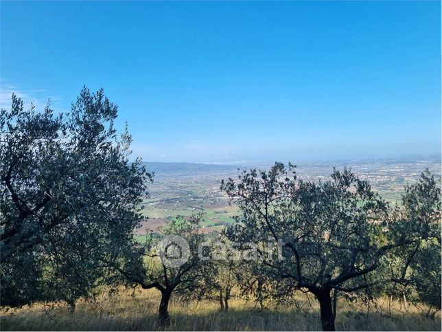 Terreno agricolo in commerciale in Strada Regionale 444