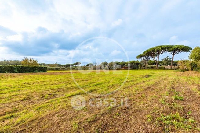 Terreno agricolo in commerciale in Via dei Castelli Romani