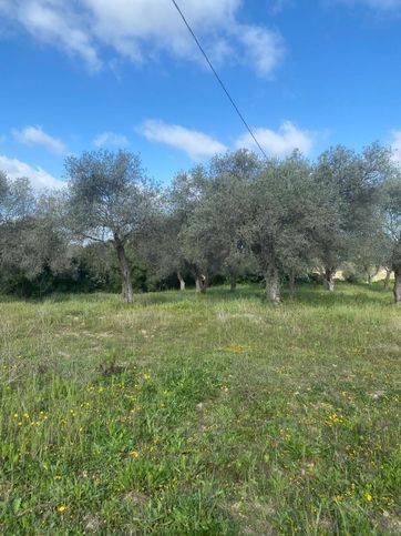 Terreno edificabile in residenziale in Strada Vicinale Sant'Orsola