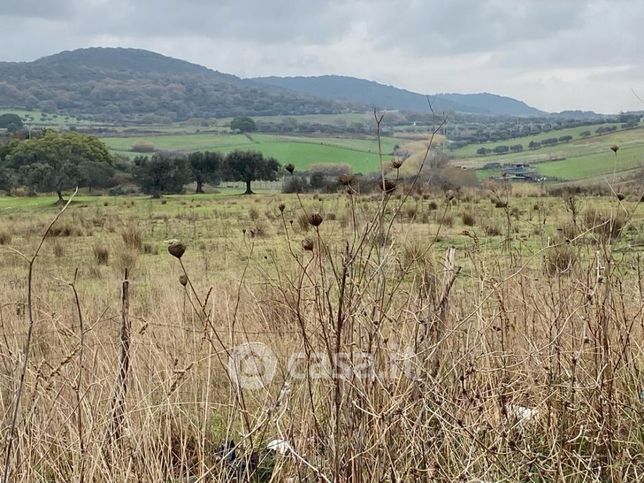 Terreno agricolo in commerciale in Via Colli di Cornacchiola