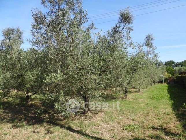 Terreno agricolo in commerciale in 