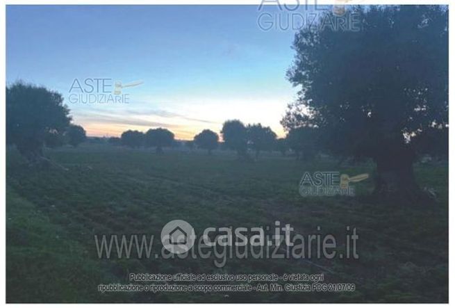 Terreno agricolo in commerciale in Contrada Bagiolaro