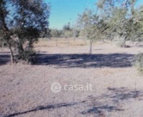 Terreno agricolo in commerciale in SP86 27