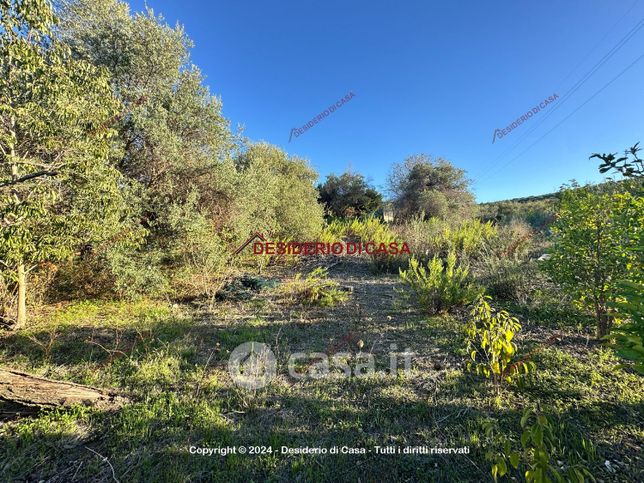 Terreno agricolo in commerciale in Via IV Finaite