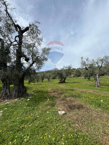 Terreno agricolo in commerciale in 