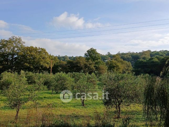 Terreno agricolo in commerciale in 