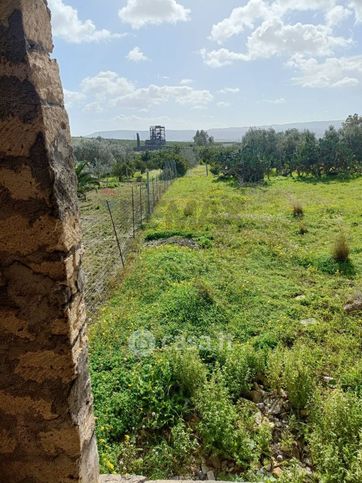 Terreno agricolo in commerciale in Strada Statale 385