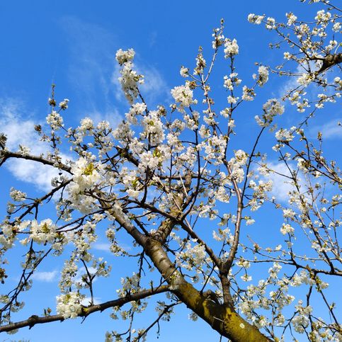 Appartamento in residenziale in Via Podio 17