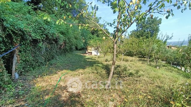 Terreno agricolo in commerciale in Vocabolo Camerano