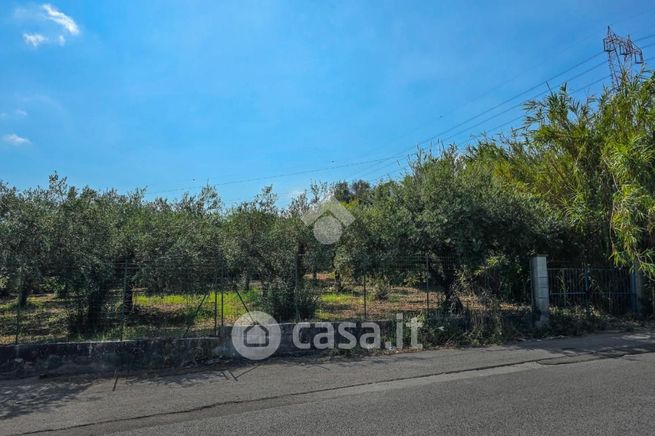 Terreno agricolo in commerciale in Contrada Sorgente