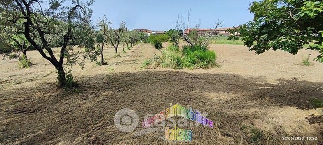 Terreno agricolo in commerciale in 