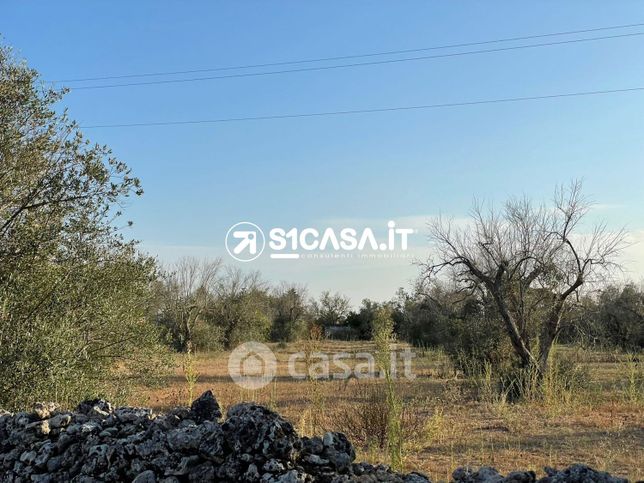 Terreno agricolo in commerciale in Contrada Spina