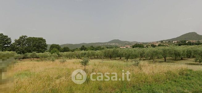 Terreno agricolo in commerciale in Via Montesoro Melogli