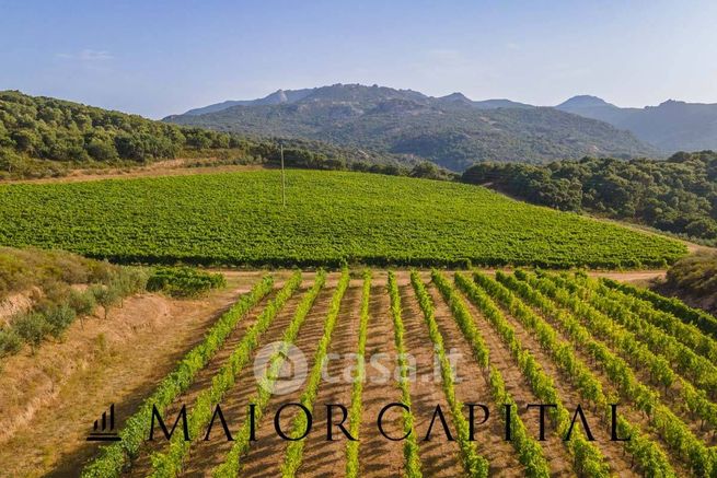 Terreno agricolo in commerciale in Via Sigara