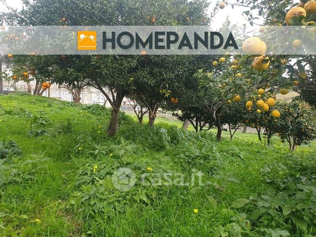 Terreno agricolo in commerciale in Via Casciaro