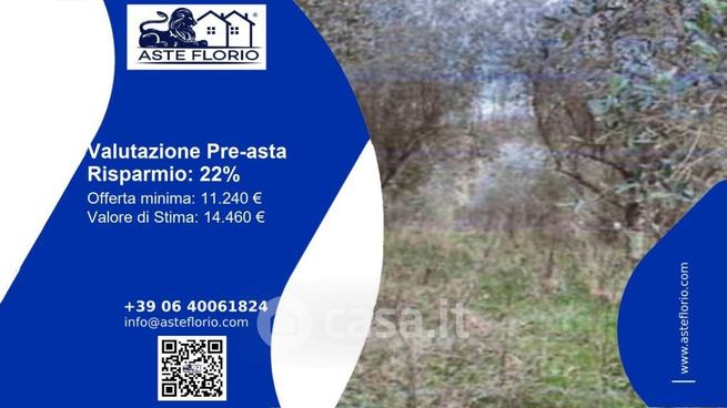Terreno agricolo in commerciale in Via di Balzello