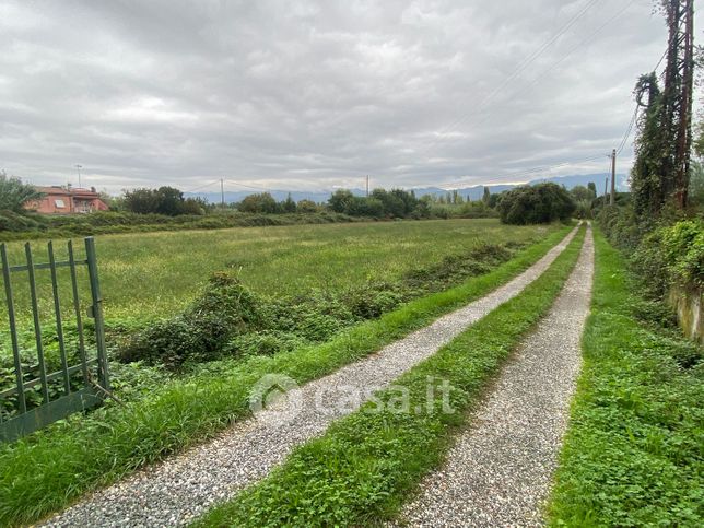 Terreno agricolo in commerciale in senato