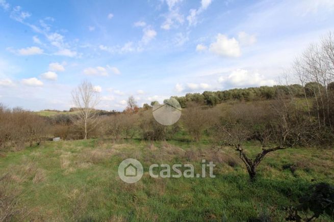 Terreno agricolo in commerciale in Via dei Pini 1