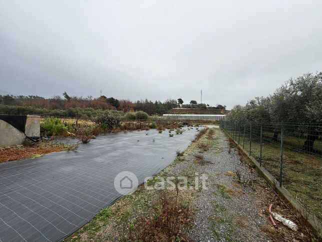 Terreno agricolo in commerciale in Strada Provinciale Campochiesa