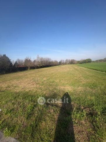 Terreno agricolo in commerciale in Via dei Longori