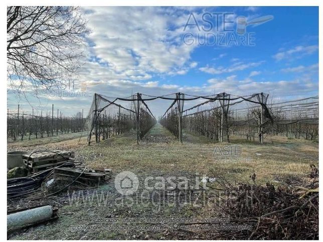 Terreno agricolo in commerciale in Via Serrasina