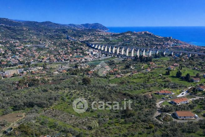 Terreno agricolo in commerciale in Strada Ciana'