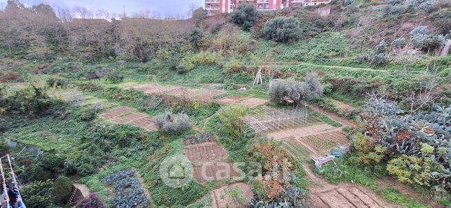 Terreno agricolo in commerciale in Salita Tre Monti 0 sn