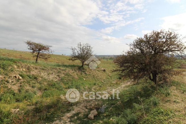 Terreno agricolo in commerciale in Contrada Ritani