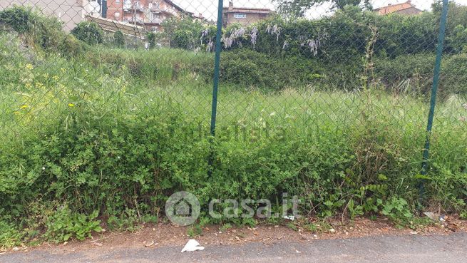 Terreno agricolo in commerciale in Piazza Sciarra 1