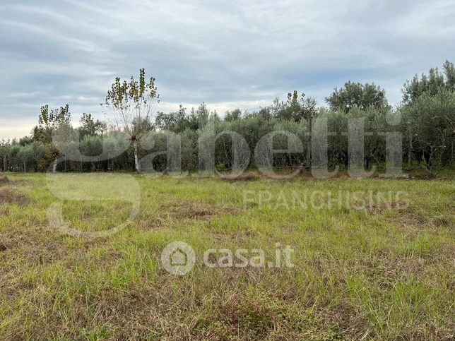 Terreno agricolo in commerciale in