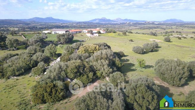 Terreno agricolo in commerciale in Via Sa Cupa