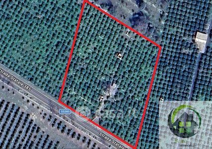 Terreno agricolo in commerciale in Strada Statale 385